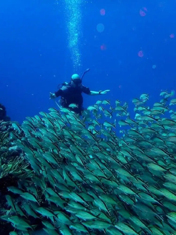 Agave Azul - Grand Cozumel, Hotel and Diving
