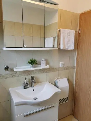 Apartment Alena