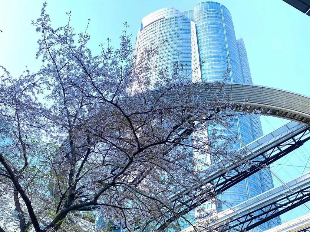 APA Hotel Roppongi SIX