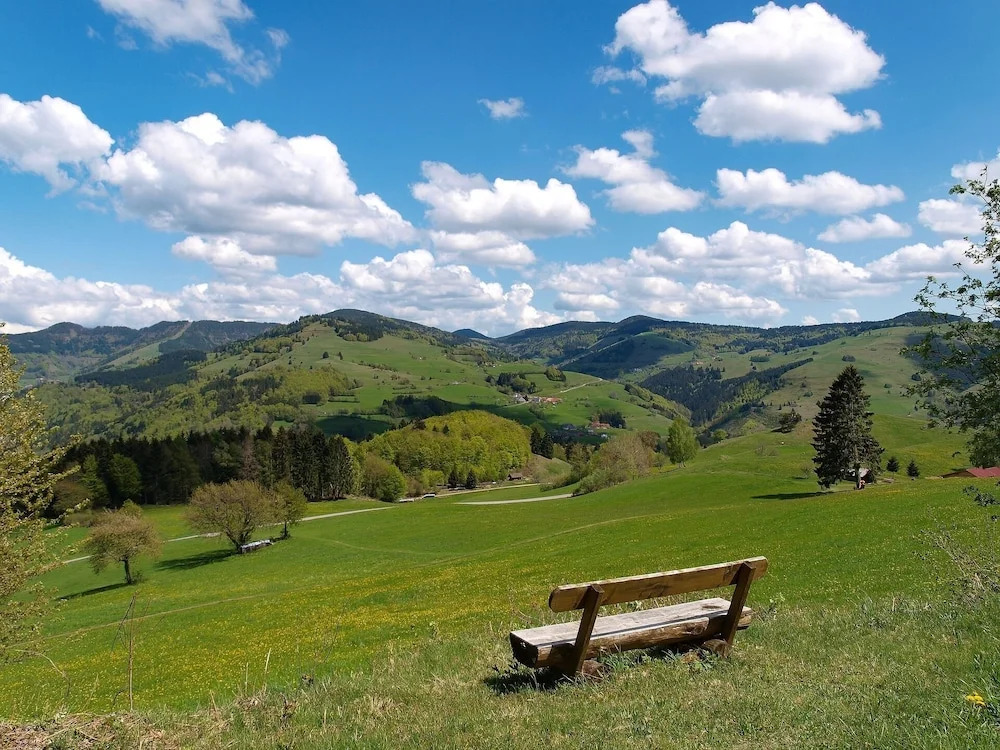 Schwarzwald Apartments im Haus Tanneck - Feldberg - Titisee