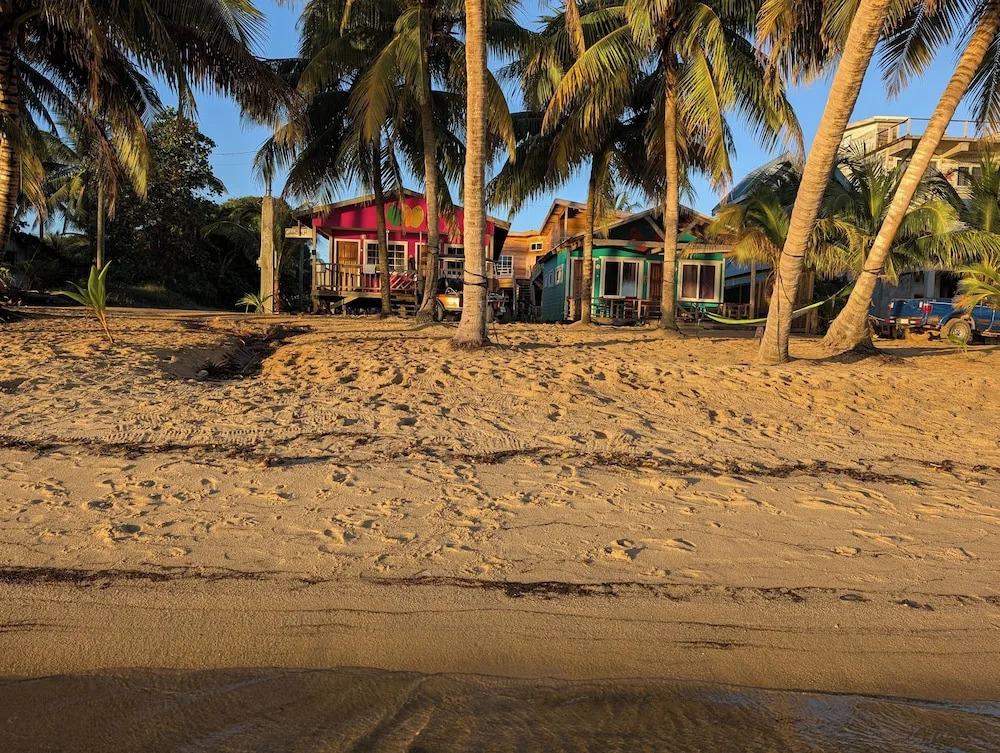 CobiaBeach.com