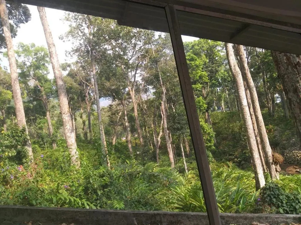 OYO 4651 Woodpecker Resort