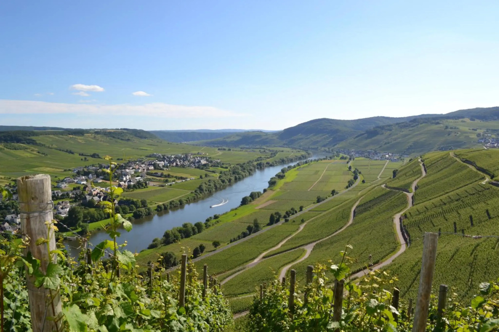 Weingut Mathy-Schanz