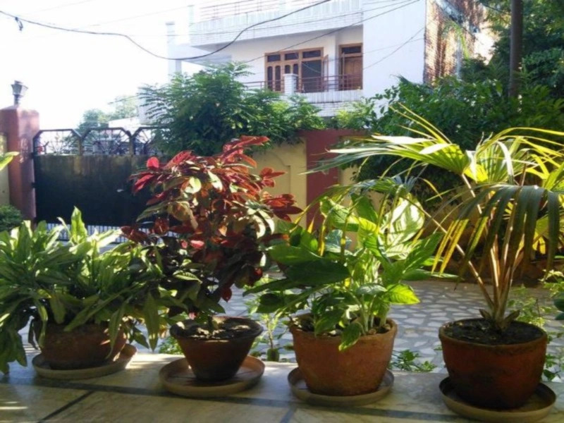 Purple Lotus Home Stay