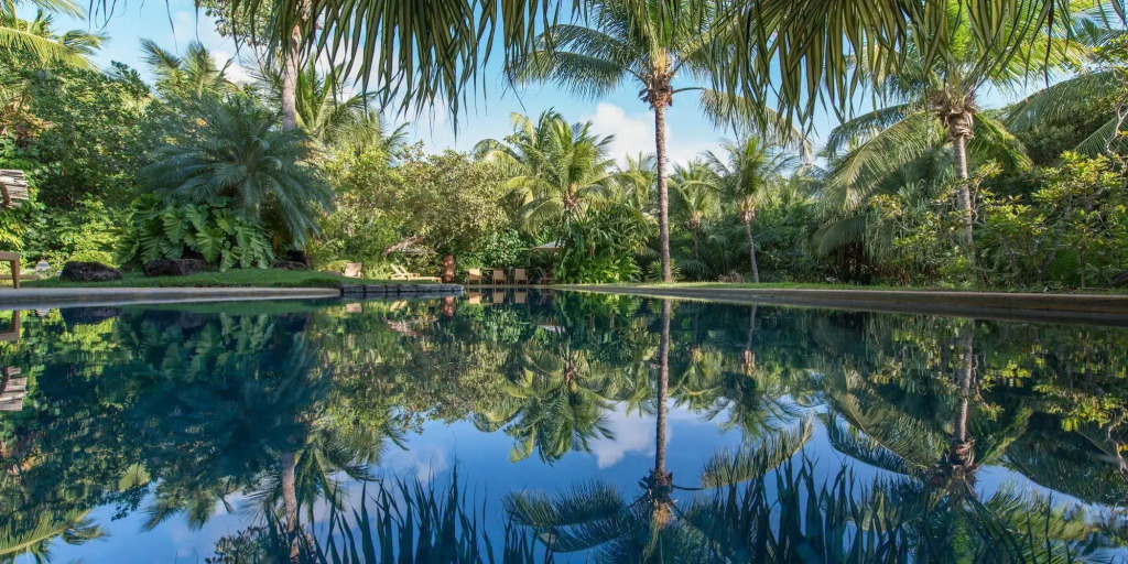 Toca da Coruja - Eco Luxury Retreat