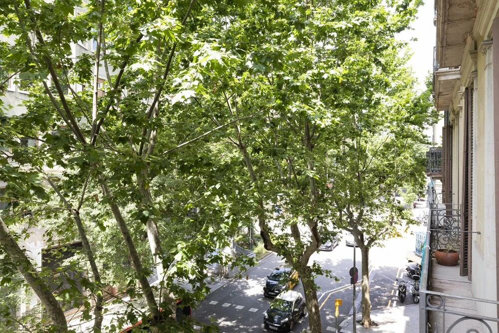 AB City Center Catalunya Apartment