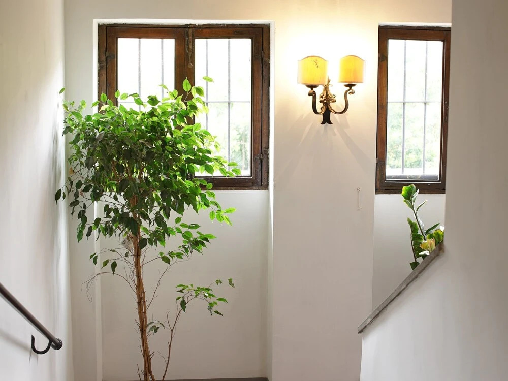 Domus Corsini