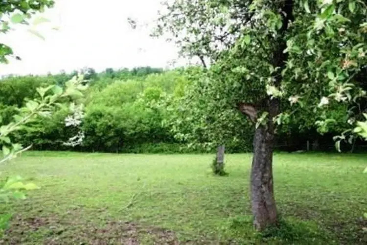 Aux 2 gîtes dArdenne