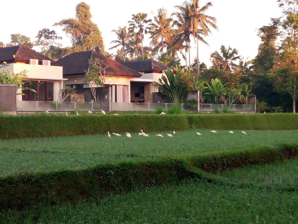 Canikaya Villas Ubud