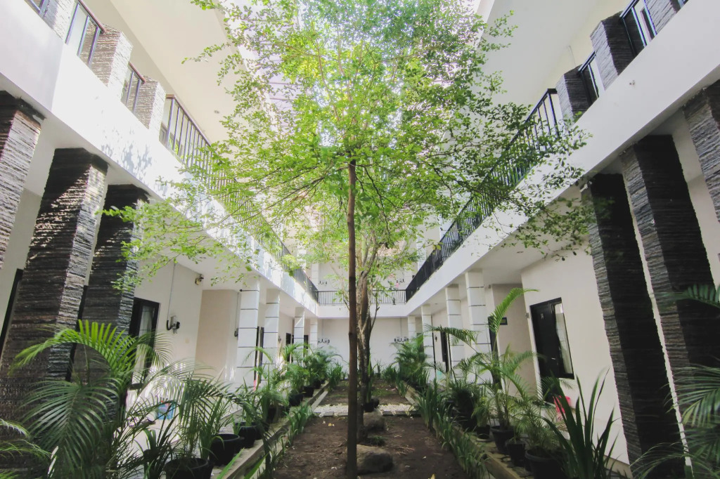 D'paragon Pelem Kecut