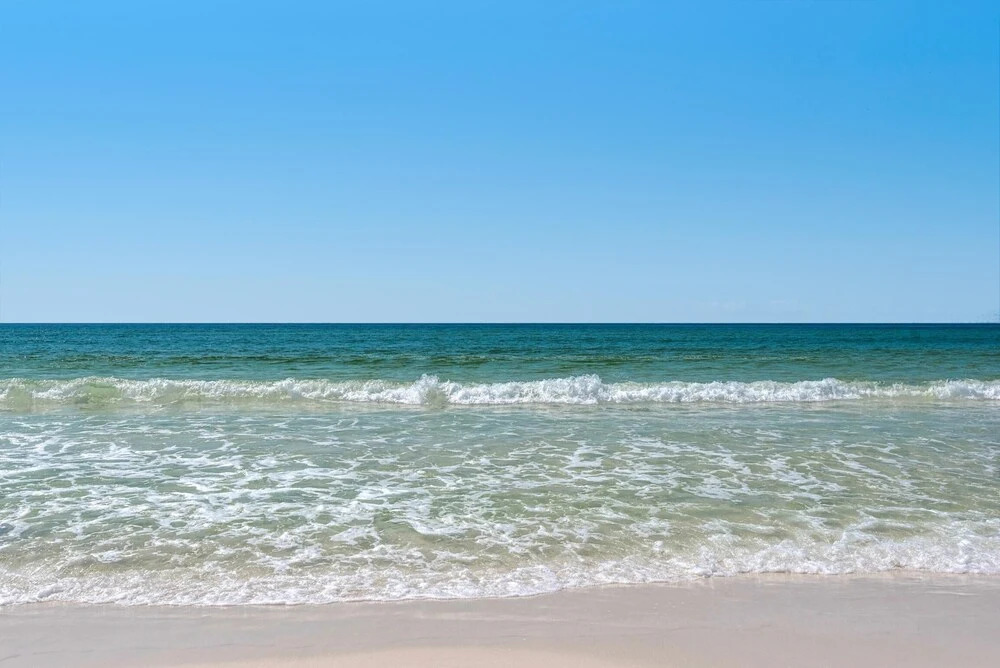 Venus by the Sea #203