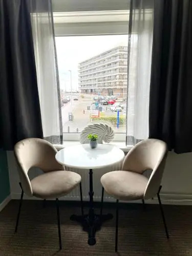 Divi Divi Zandvoort