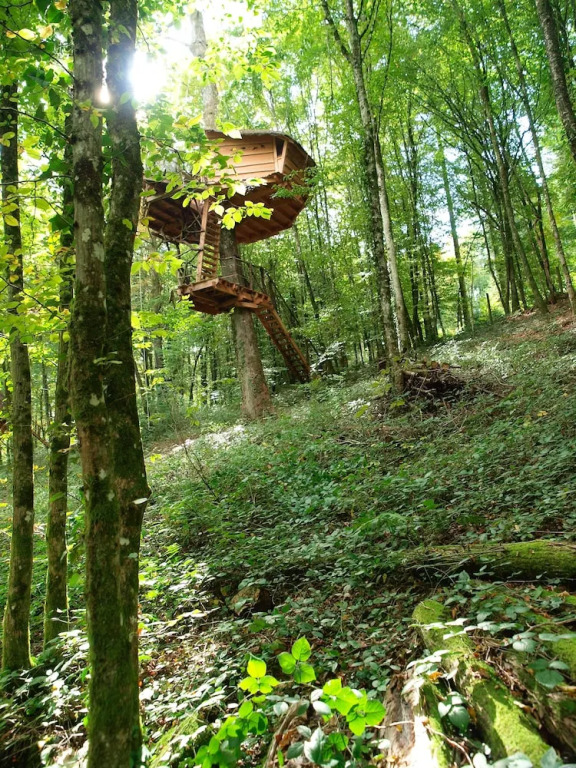 LArbre à Cabane