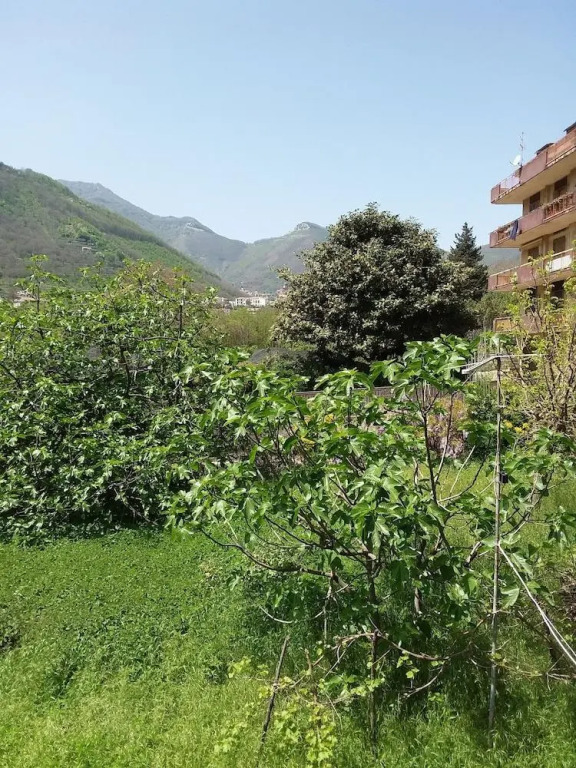Domus Intra Montes