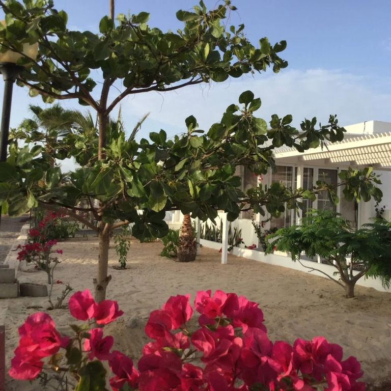 Exclusive Villa Praia Chaves Boa Vista 24a