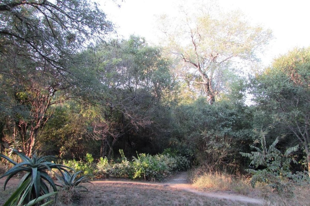 Two Bedroomed Bush-tent on the Klaserie River, With Free Lion Hyena Sounds