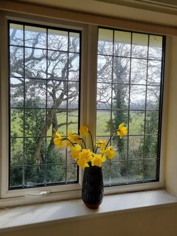Lovely 2-Bedroom New Forest apartment on a Farm