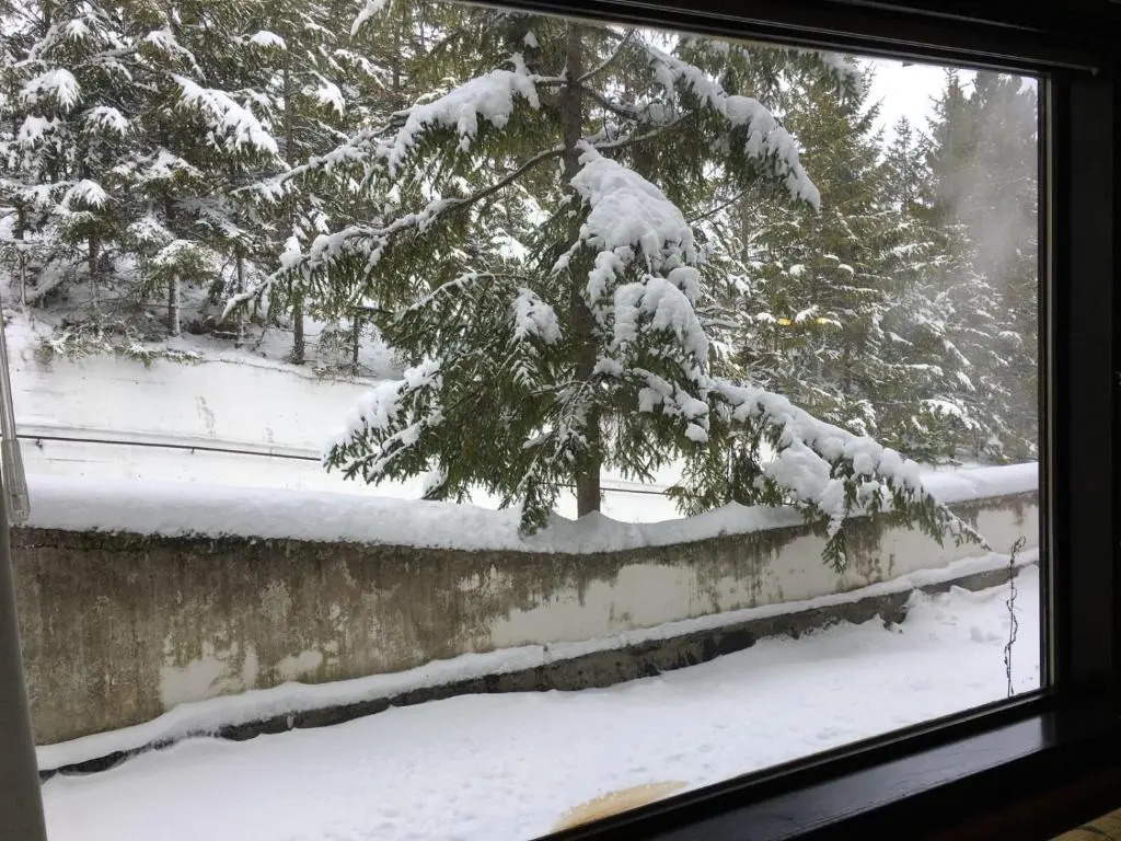 Chalet dei Conti