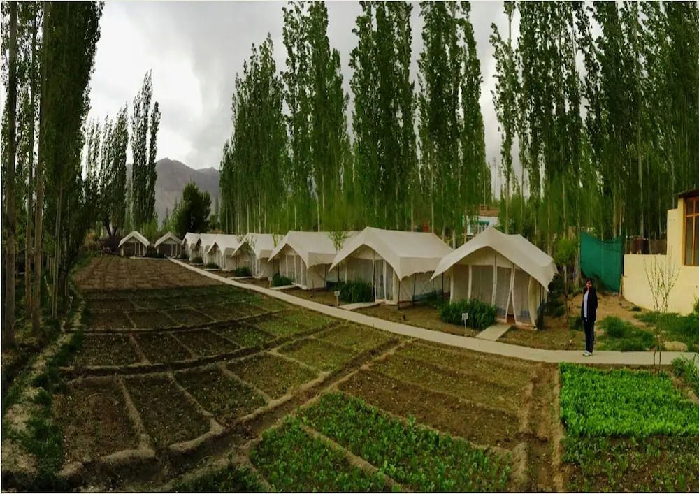 TIH Mystique Meadows Camp