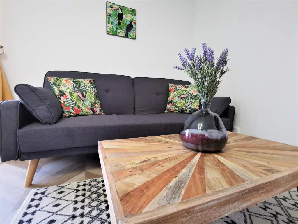 t2 COSY - COLOMIERS - RÉSIDENCE SECURISÉE - AIRBUS - PISCINE