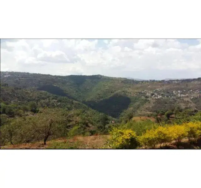 Valley View Bungalow 2BHK