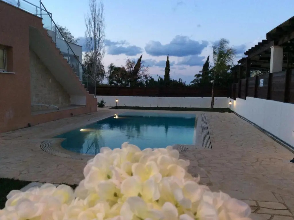 Dream House Latchi Villa