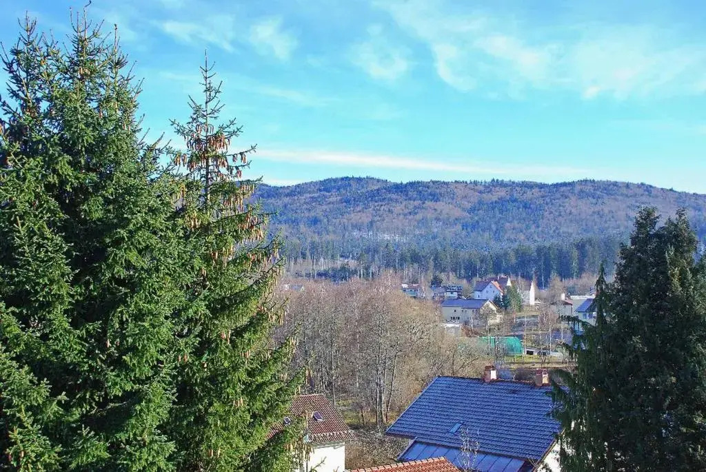 Pension "Bayerwald"