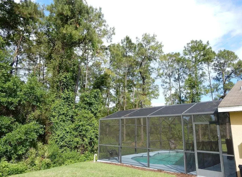 Tree Top Retreat