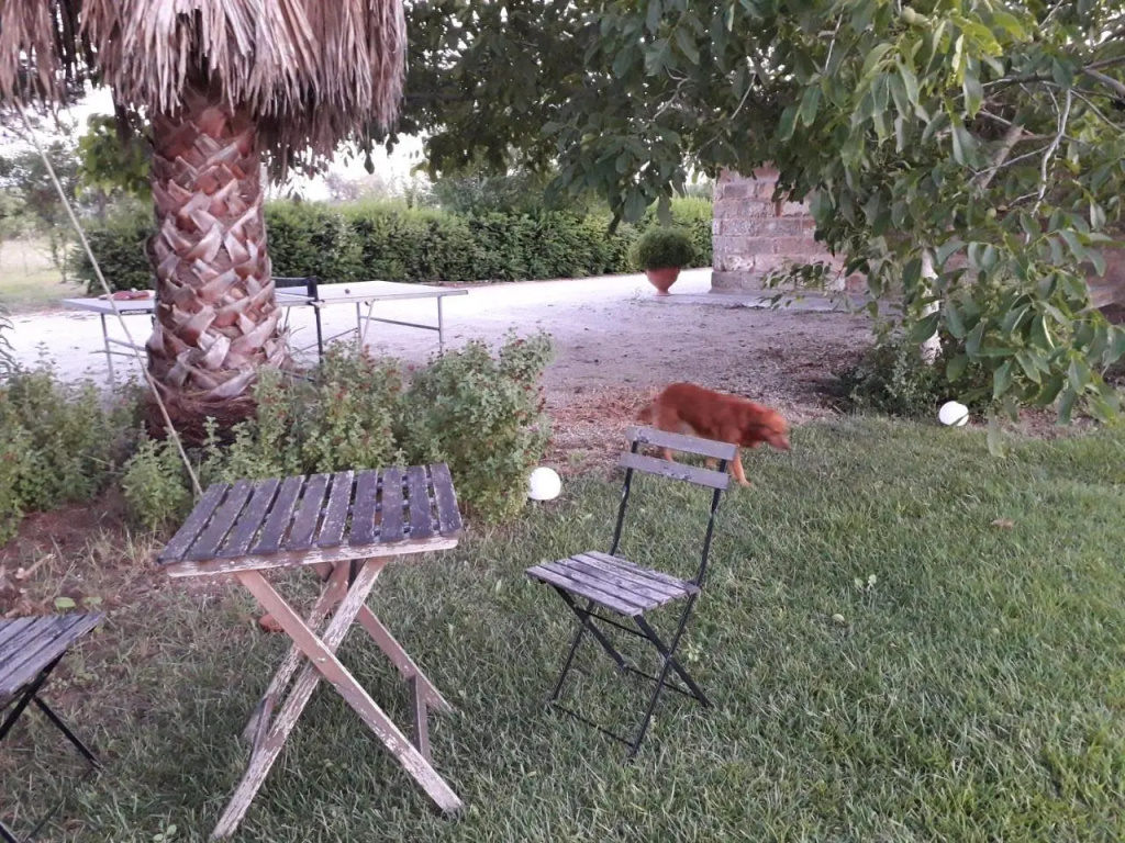 Casetta vacanza in campagna
