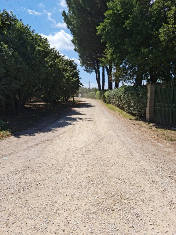 Lovely 3-bed Villa in Capranica
