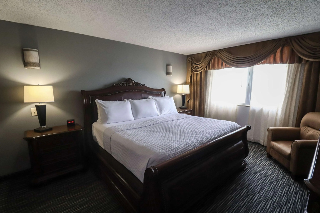 Wyndham Houston near NRG Park - Medical Center