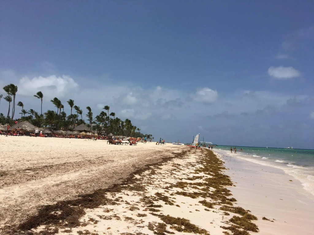 Bavaro Hostel
