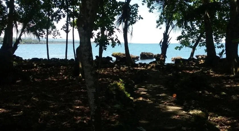 Cahuita Inn