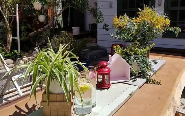 Six Six Garden - Rose Koi Homestay Dalat