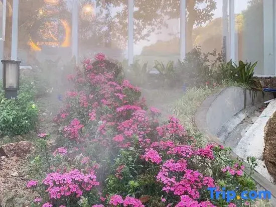 Nankunshan yunshu Wild Luxury Hotel