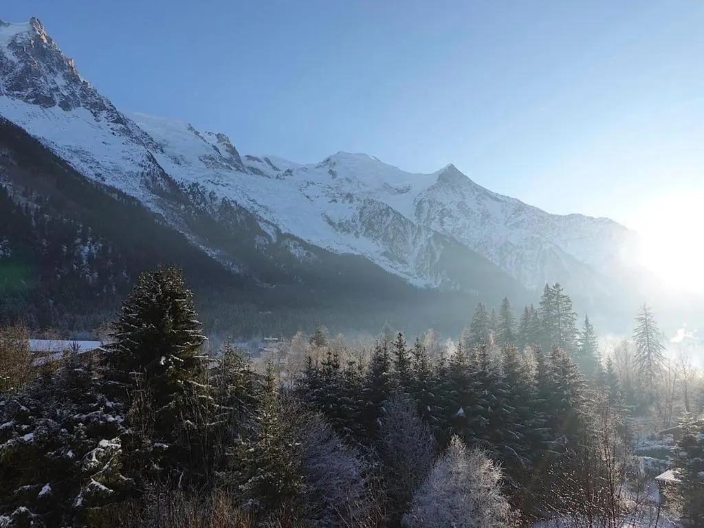 Appartement Chamonix-Mont-Blanc, 4 pièces, 6 personnes - FR-1-507-62