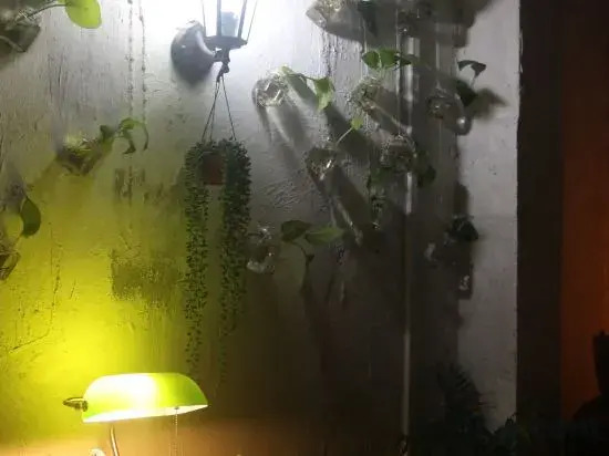 Zhuhai Seven Homestay