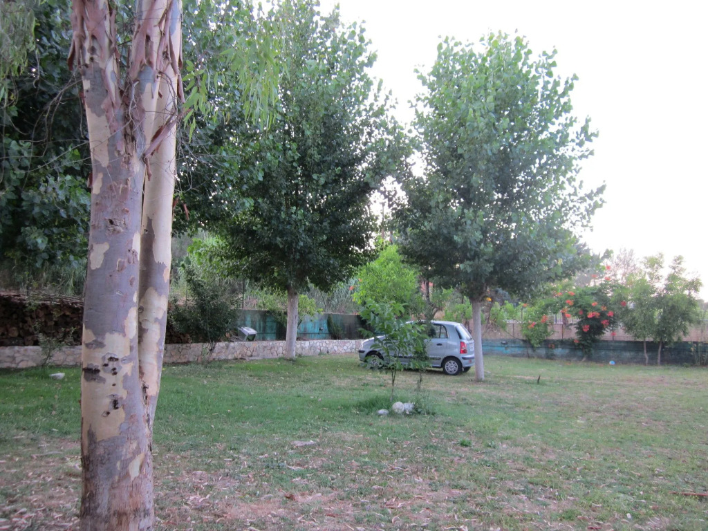 Blue Dream Apartments