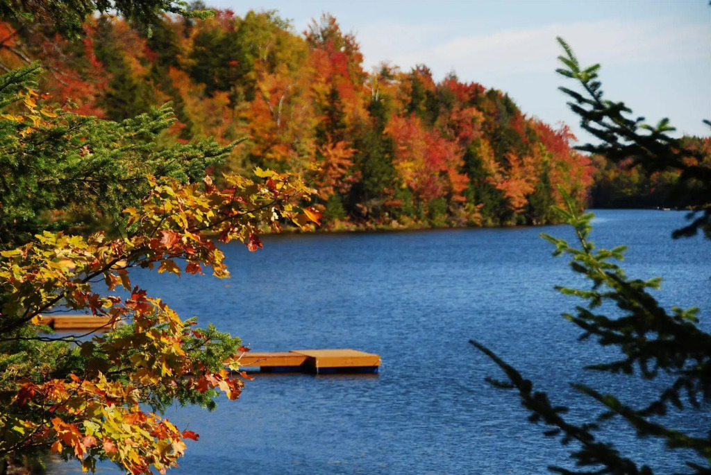 Fiddler Lake Resort