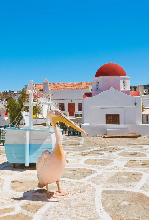 Pensioni a Mykonos Citt\u00E0