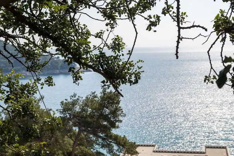 Rosa Apartments