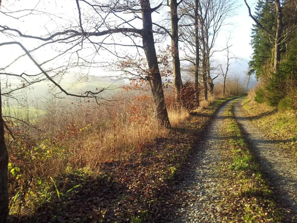 Ferienwohnung Panorama II