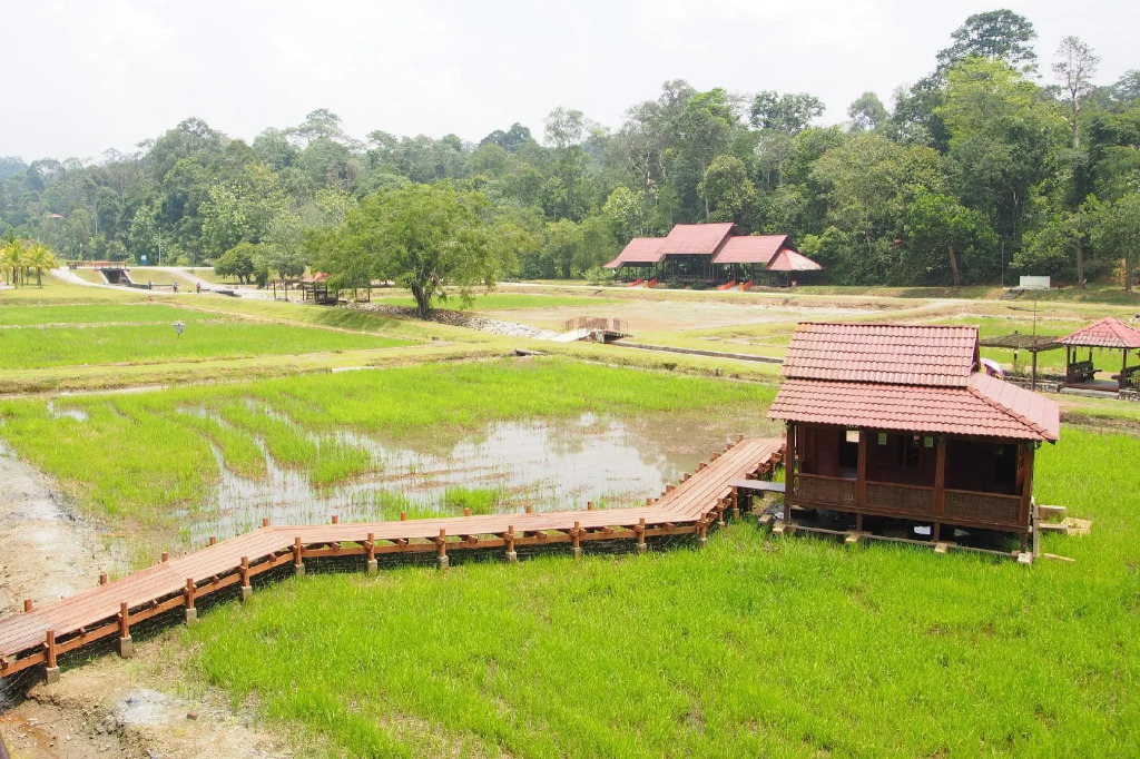 Karisma Homestay