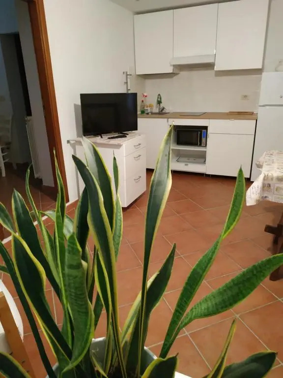 Il Giglio Appartamenti
