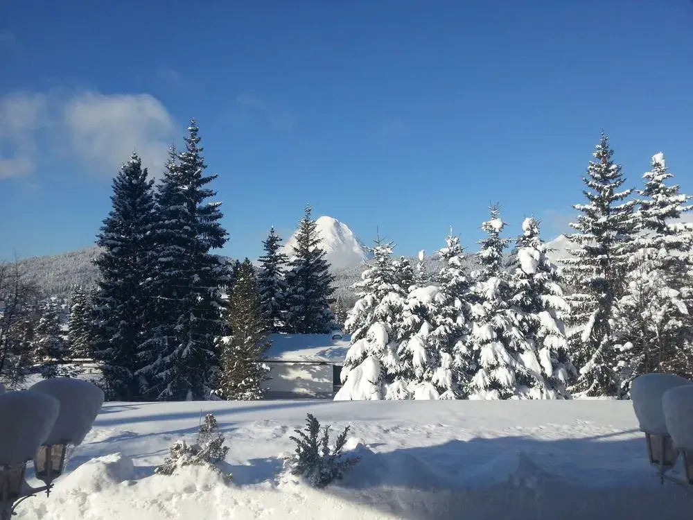 Waldhotel Seefeld