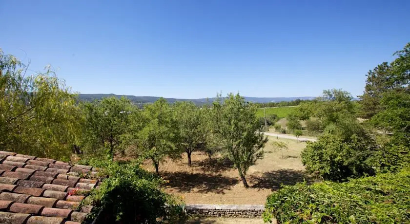 A good year in Provence