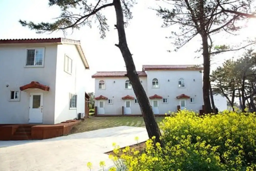 Jeju Owl House Pension(부엉이집 펜션)