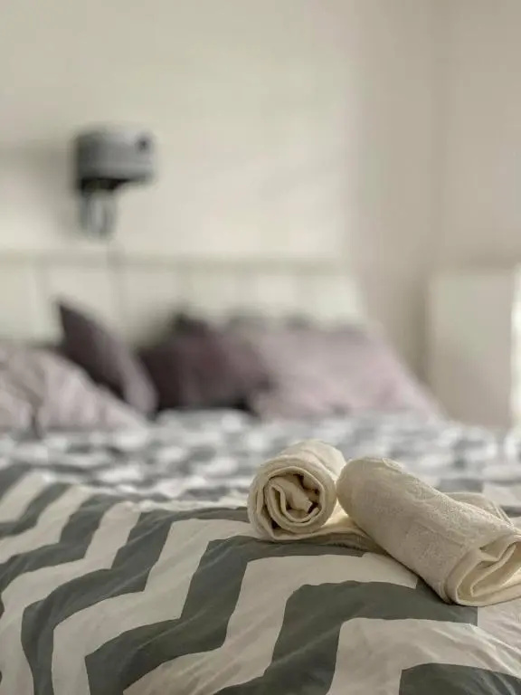 Tesla Smart apartment