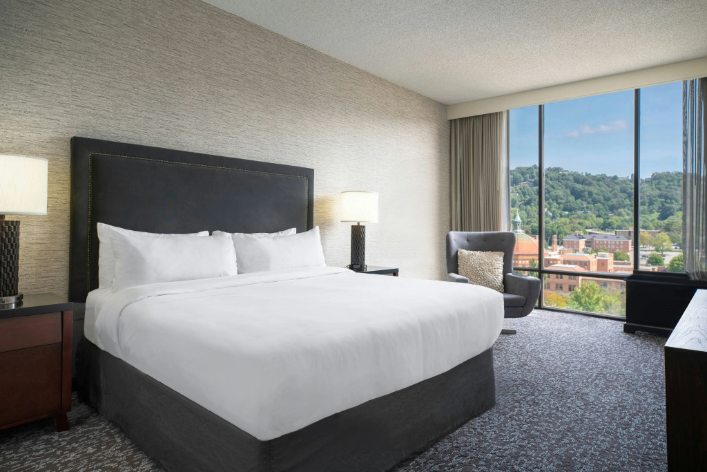Renaissance Asheville Downtown Hotel