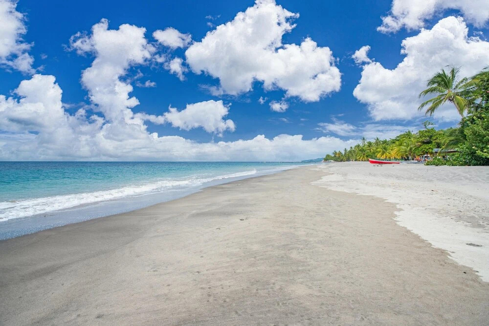 Apartment in a Bungalow on the Beach in Le Carbet Wonder